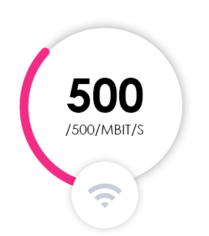 500/500 megabitin sekunnissa symboli.